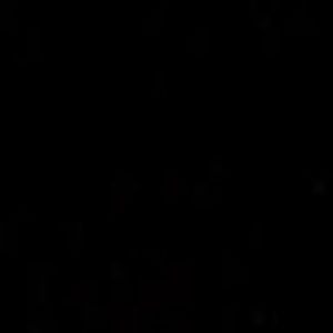 Meet your Posher, Audrey